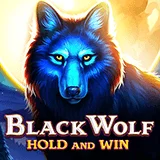 Bocoran RTP Slot Bng Black Wolf